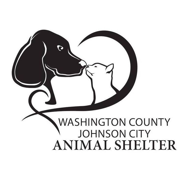 Johnson City Animal Shelter received 73 animals in one week; reminds public  to spay/neuter pets  WXBQ