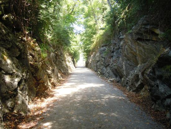 New Tweetsie Trail expansion task force created
