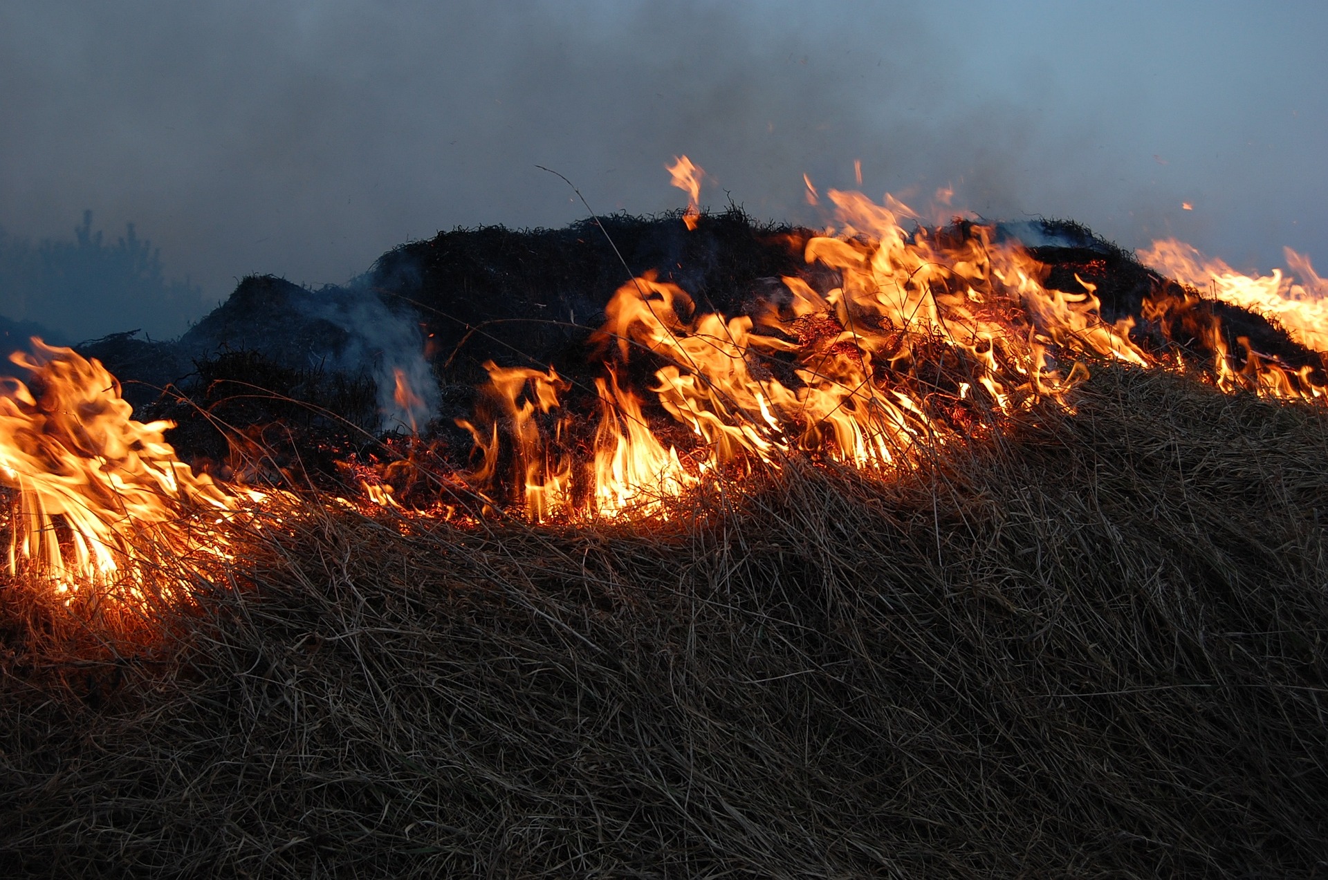 Prescribed burn today in Smyth/Grayson counties