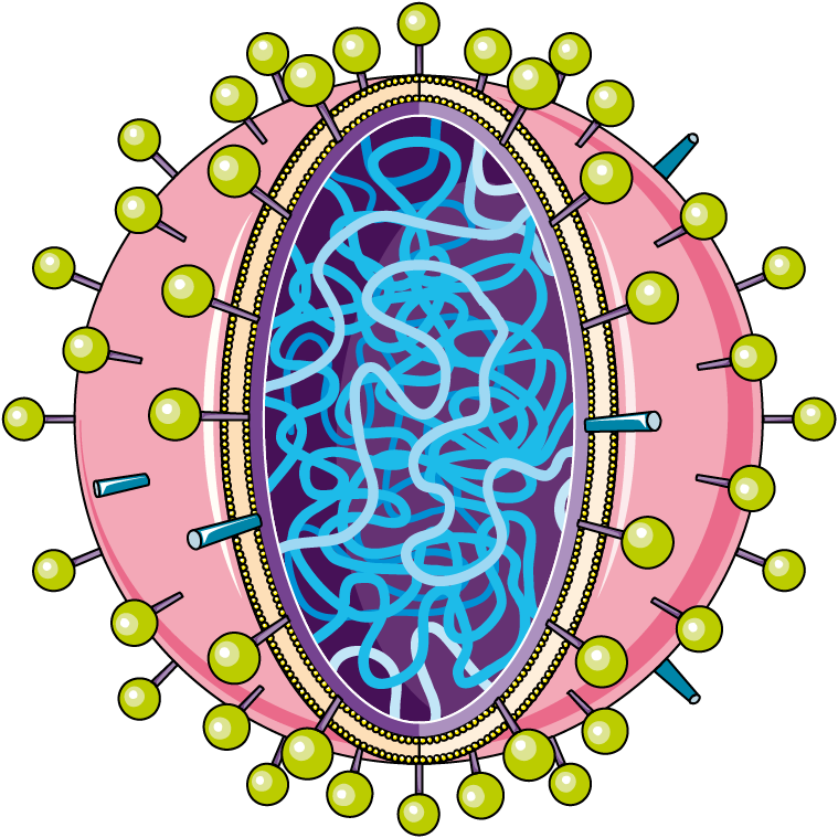 Tennessee flu cases on the rise