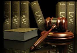 Report: Marion woman convicted in cat abuse case