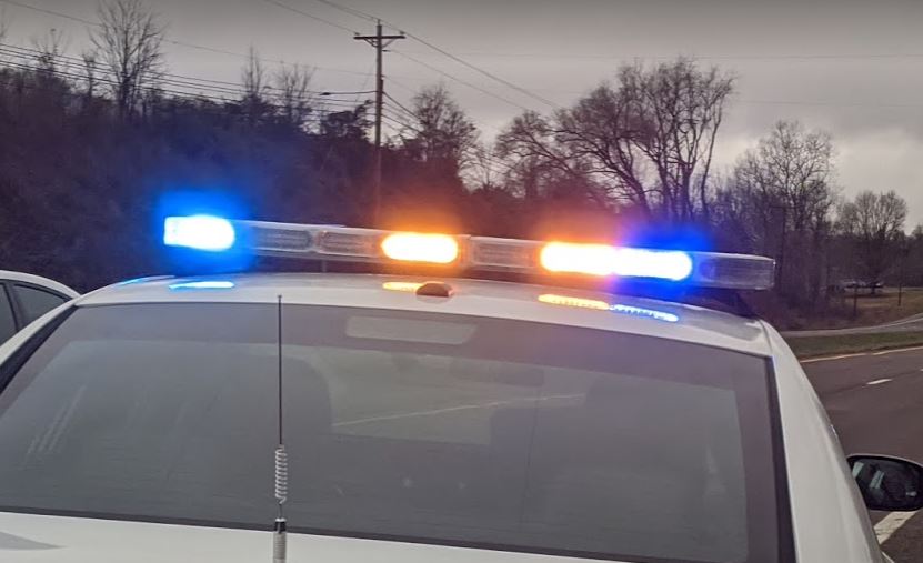 Police: East Tennessee man admits to horrific abuse of dog