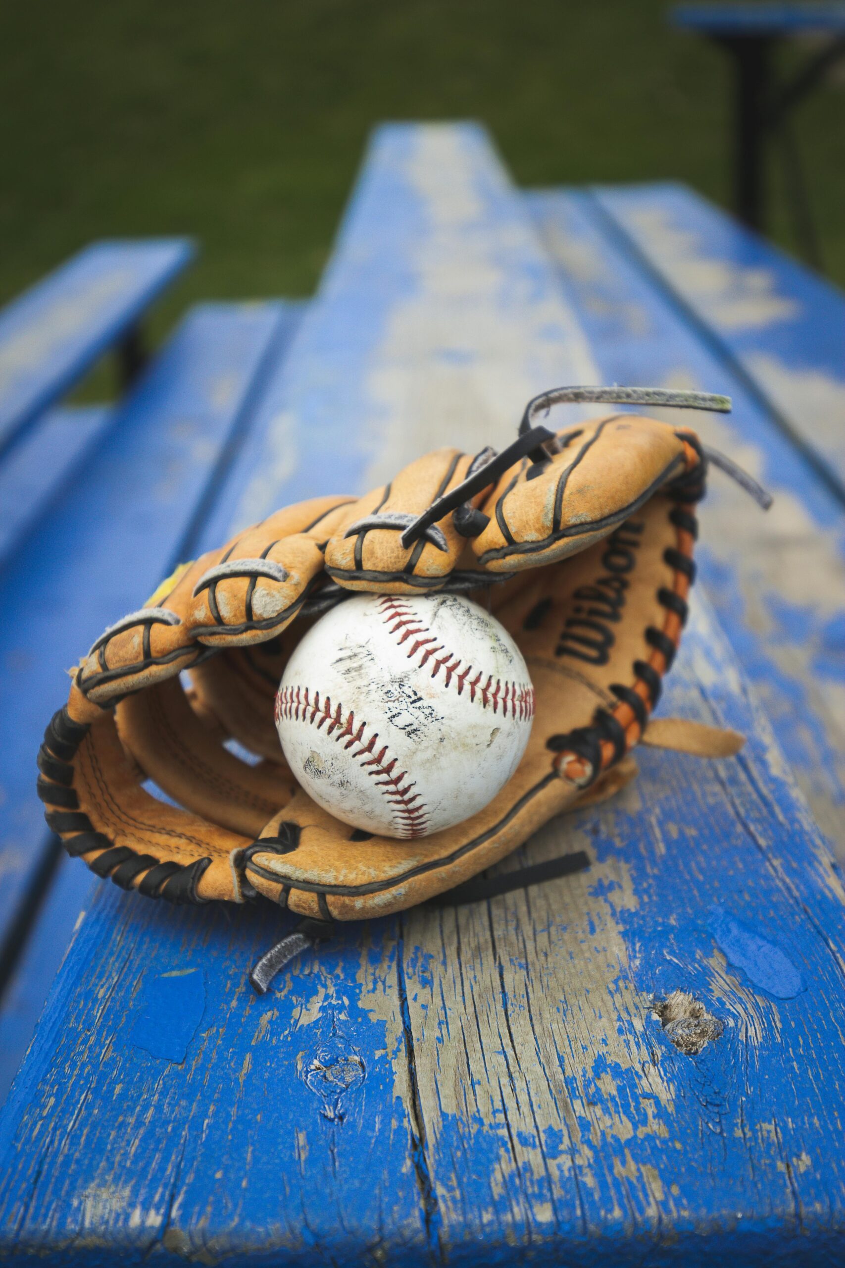 Report: Player safety concerns by umpire crew ends regional baseball season for Richlands