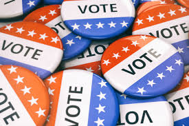 Voters head to the polls for state and federal primary elections