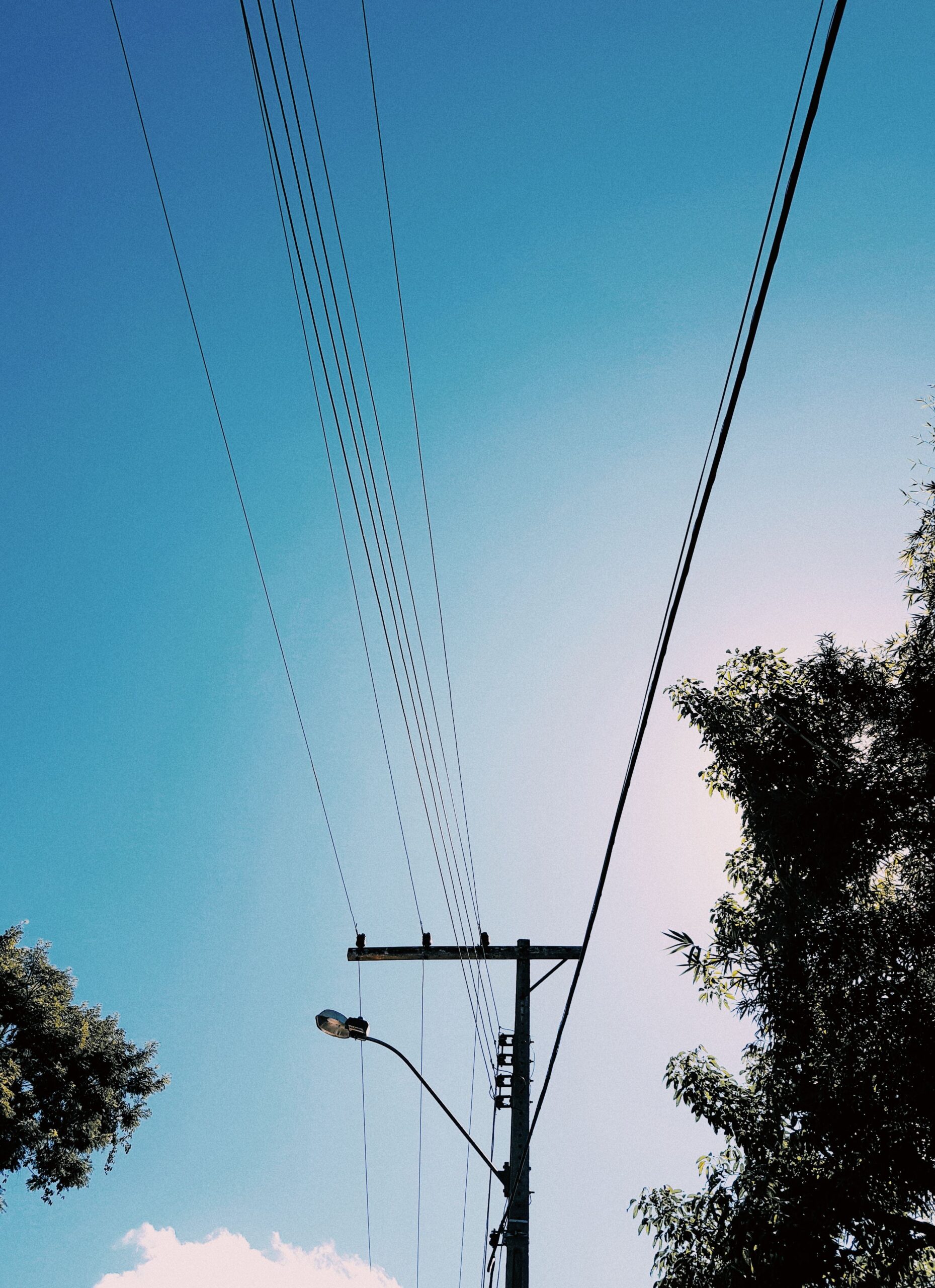 Traffic Alert: Work on Morristown highway to repair power lines